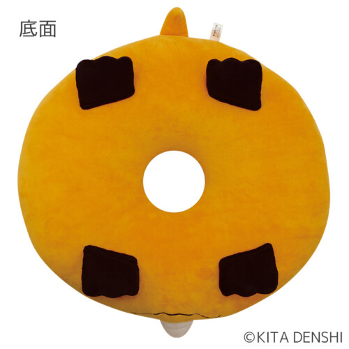 16243